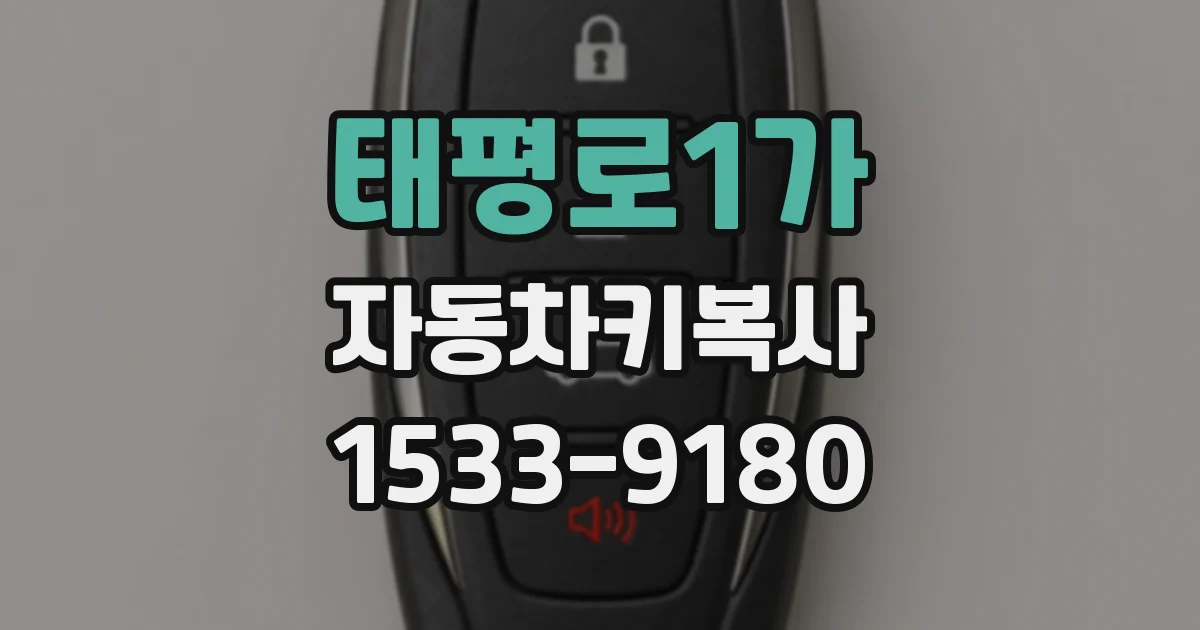 태평로1가 자동차키복사
