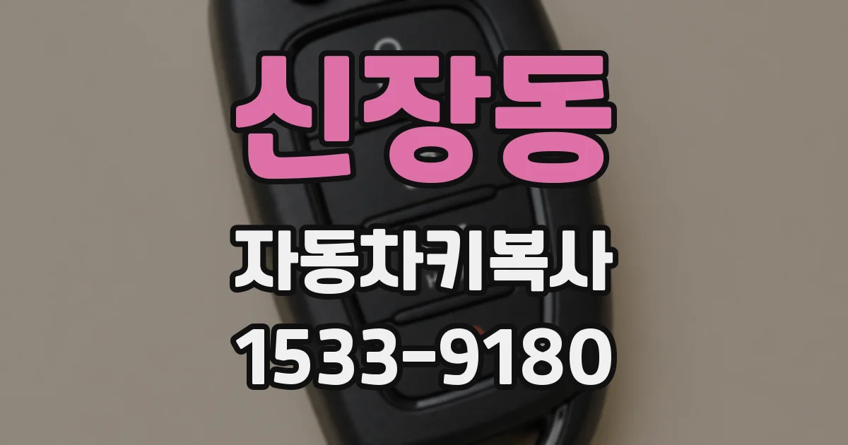 신장동 자동차키복사