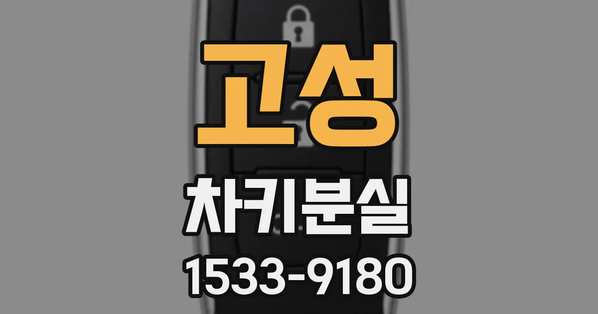 고성 차키분실