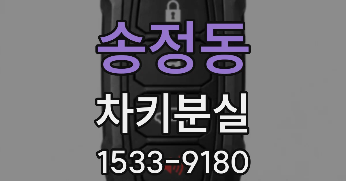 송정동 차키분실