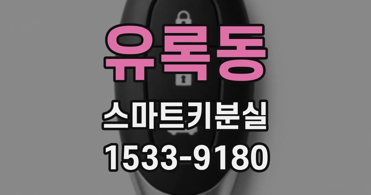 유록동 스마트키분실