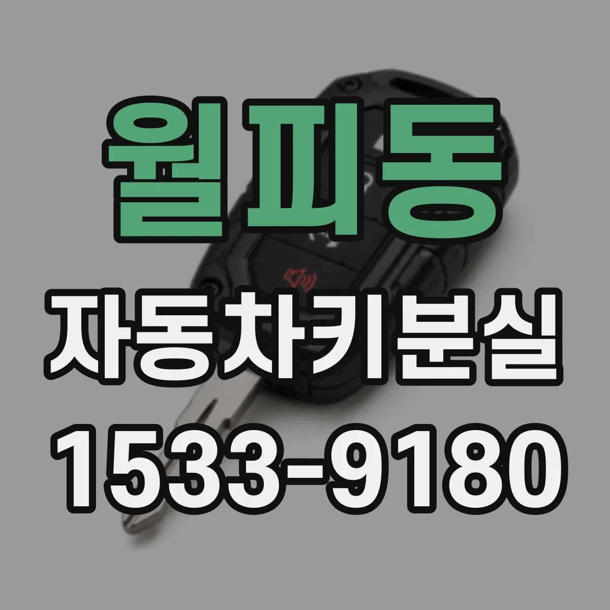 월피동 자동차키분실