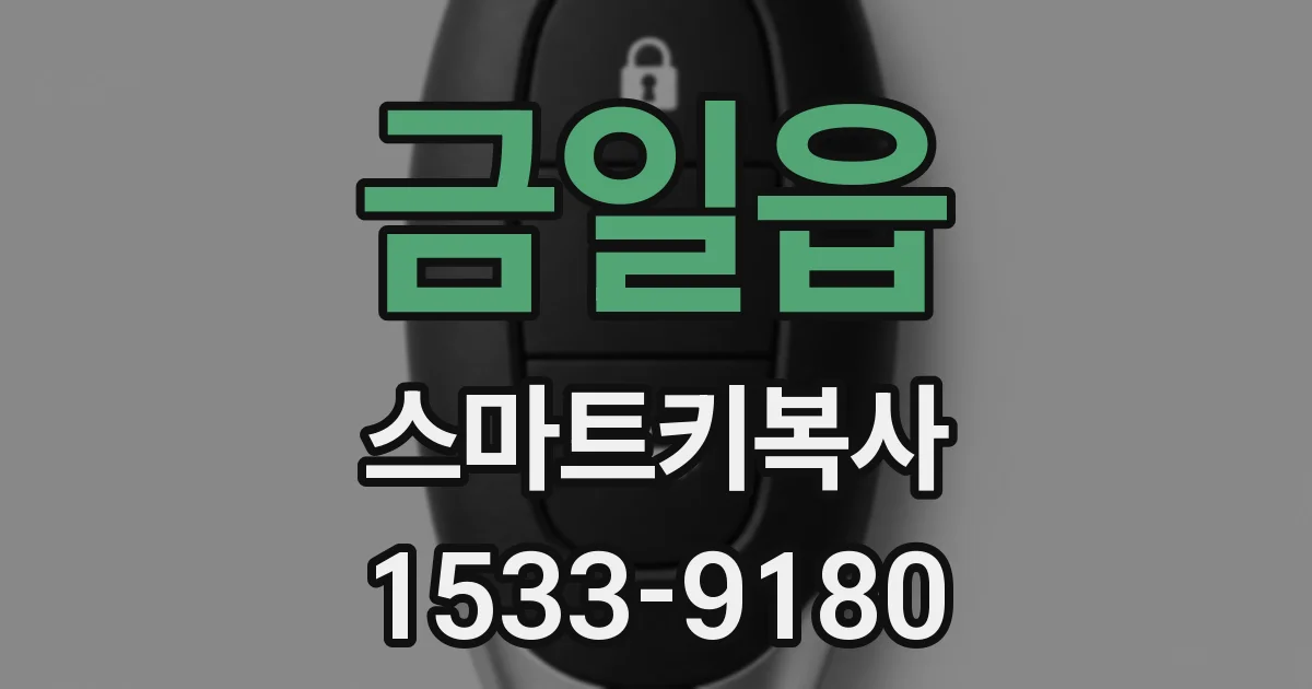 금일읍 스마트키복사