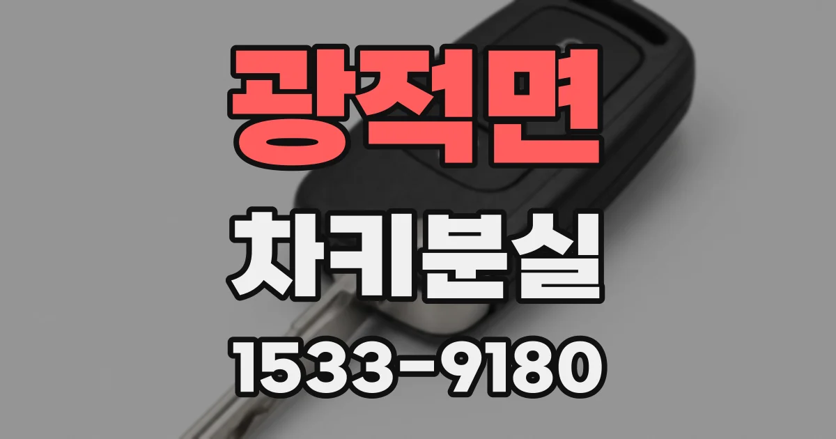 광적면 차키분실