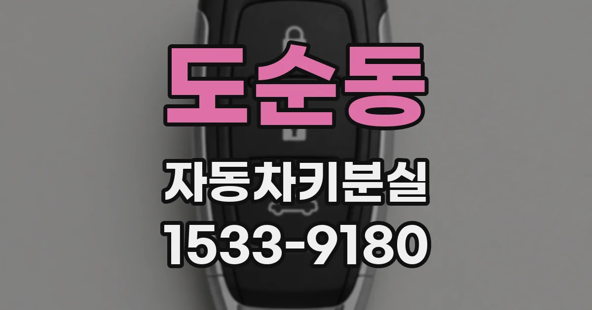 도순동 자동차키분실