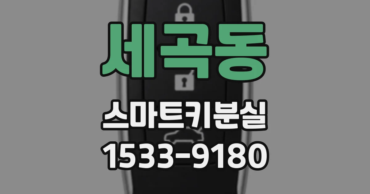 세곡동 스마트키분실