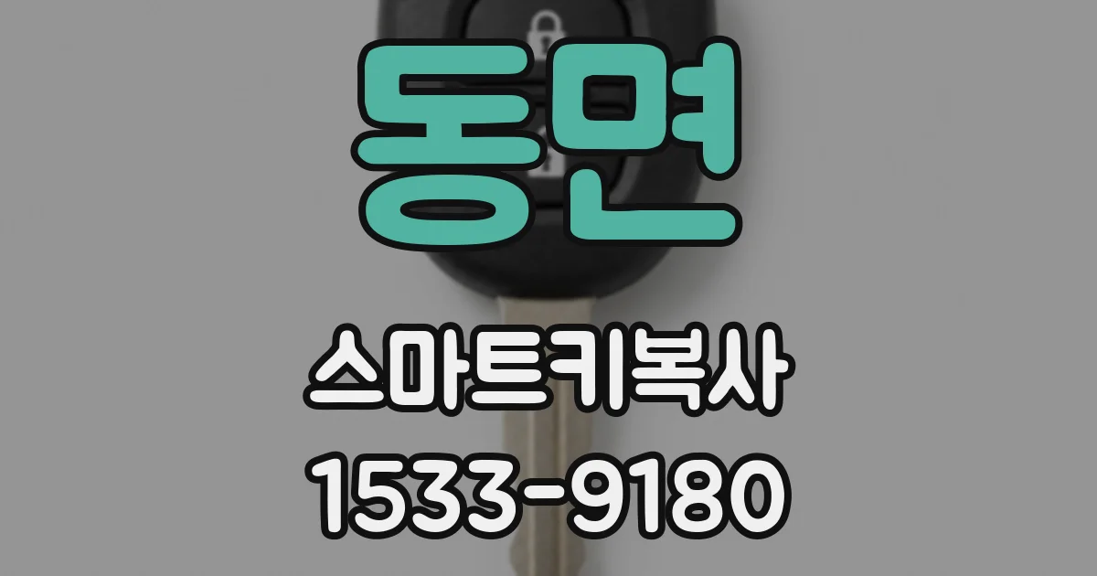 동면 스마트키복사