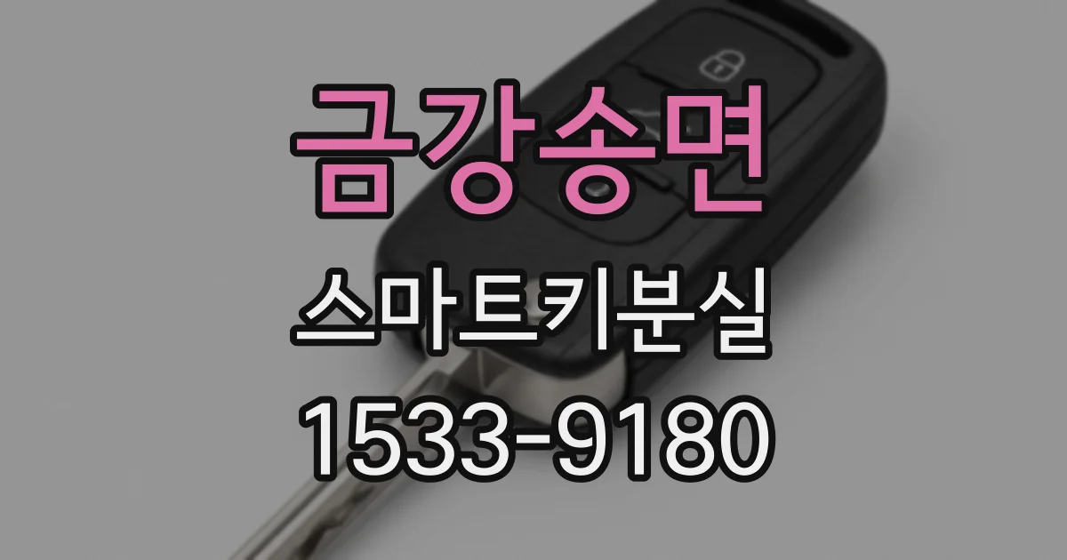 금강송면 스마트키분실