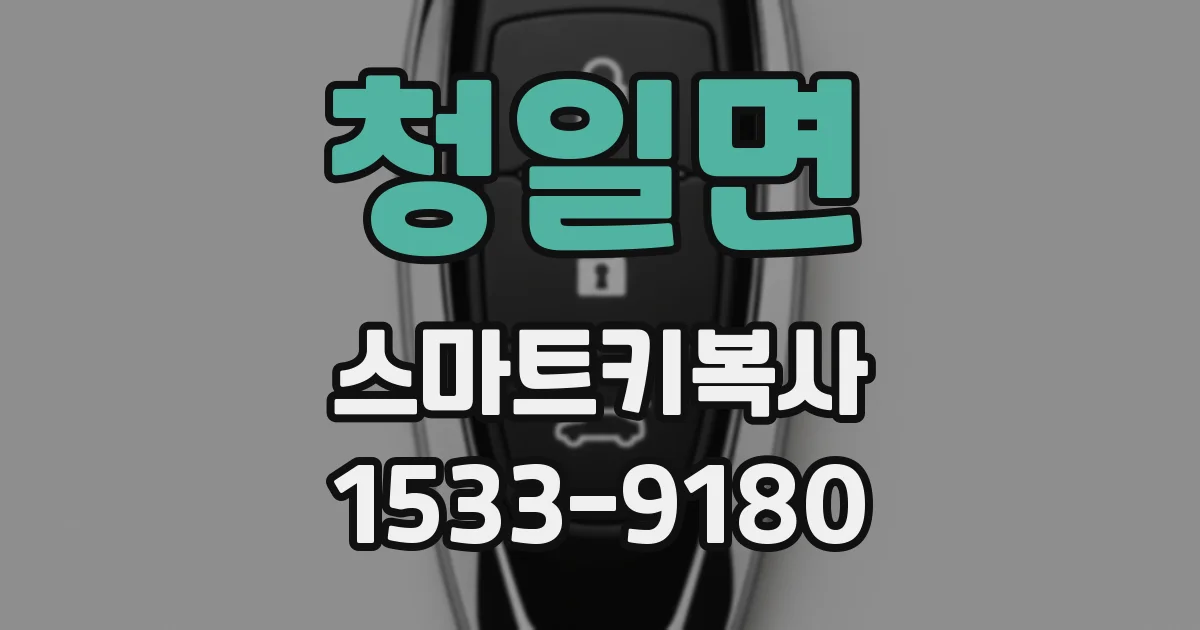 청일면 스마트키복사