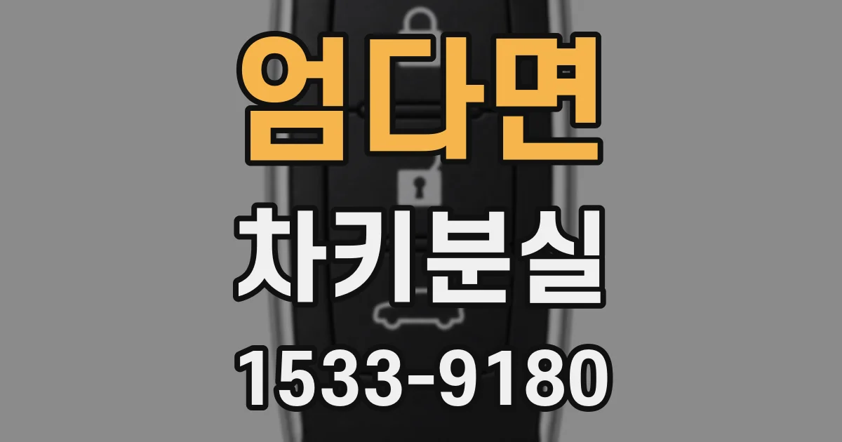 엄다면 차키분실