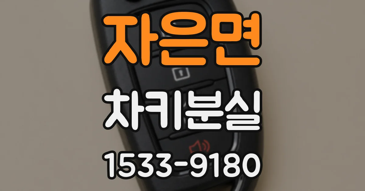자은면 차키분실