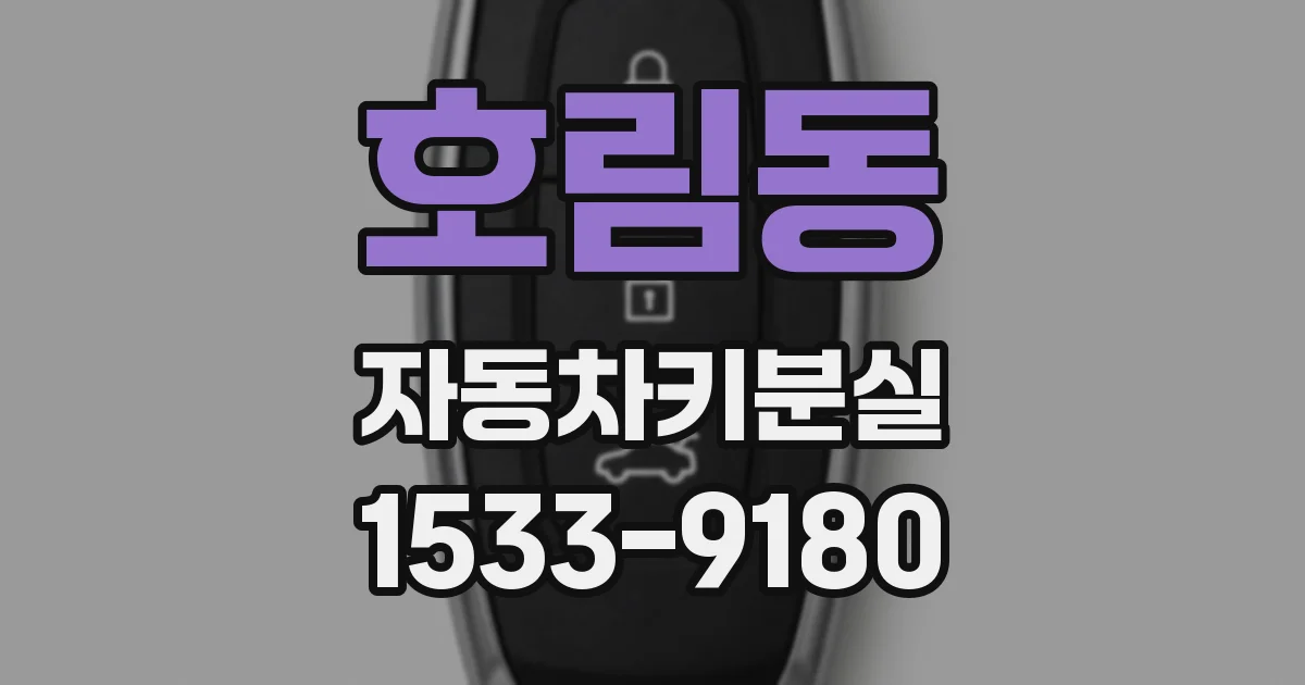 호림동 자동차키분실