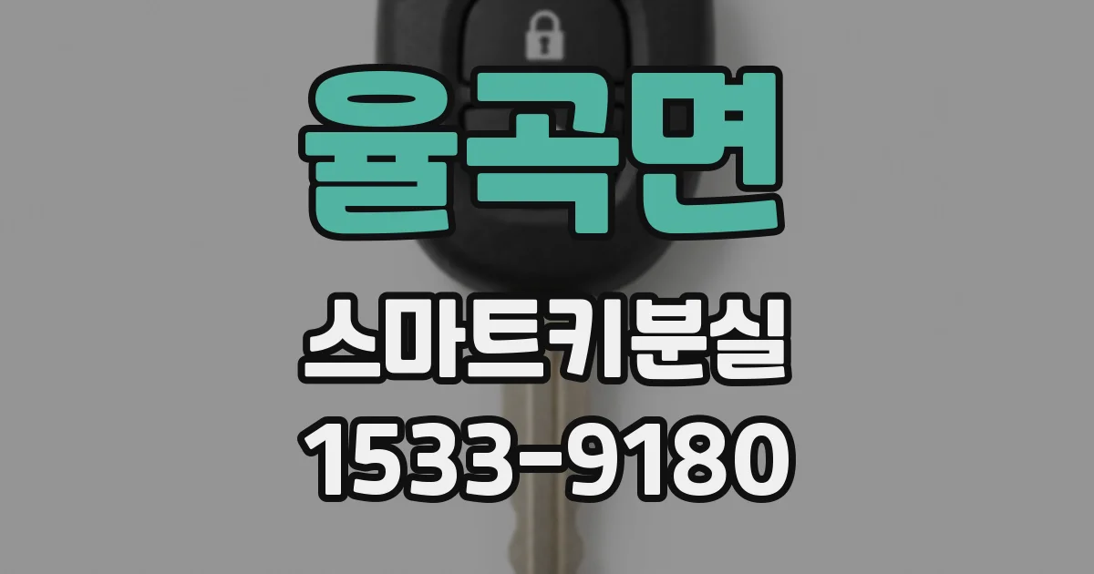 율곡면 스마트키분실