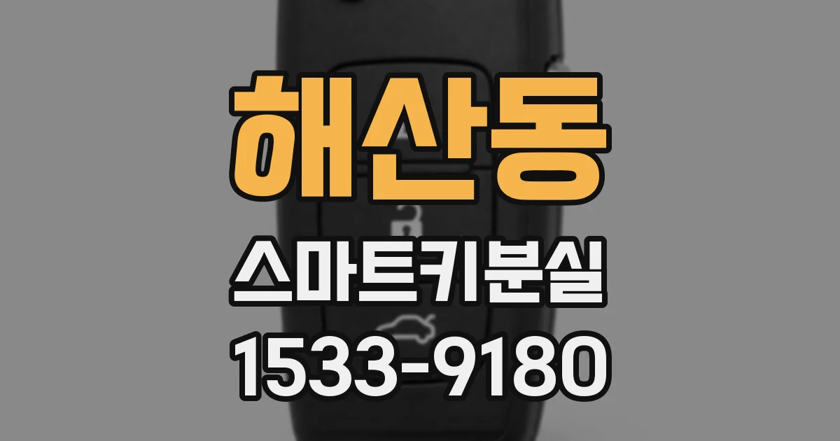 해산동 스마트키분실