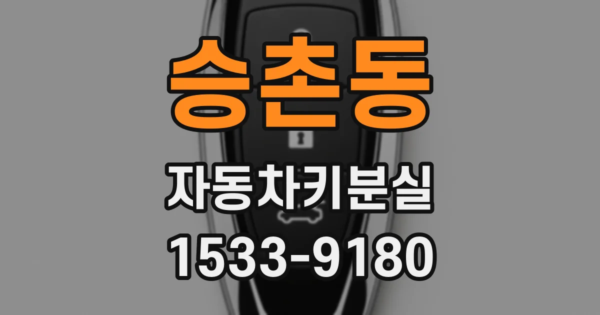 승촌동 자동차키분실
