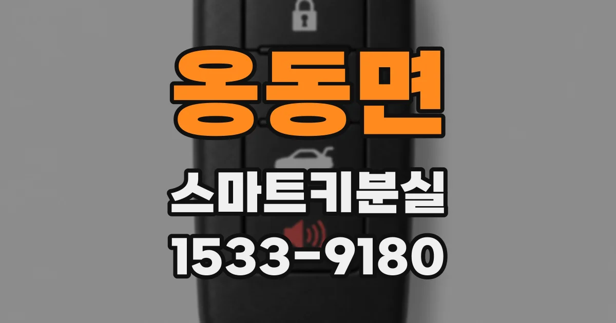 옹동면 스마트키분실