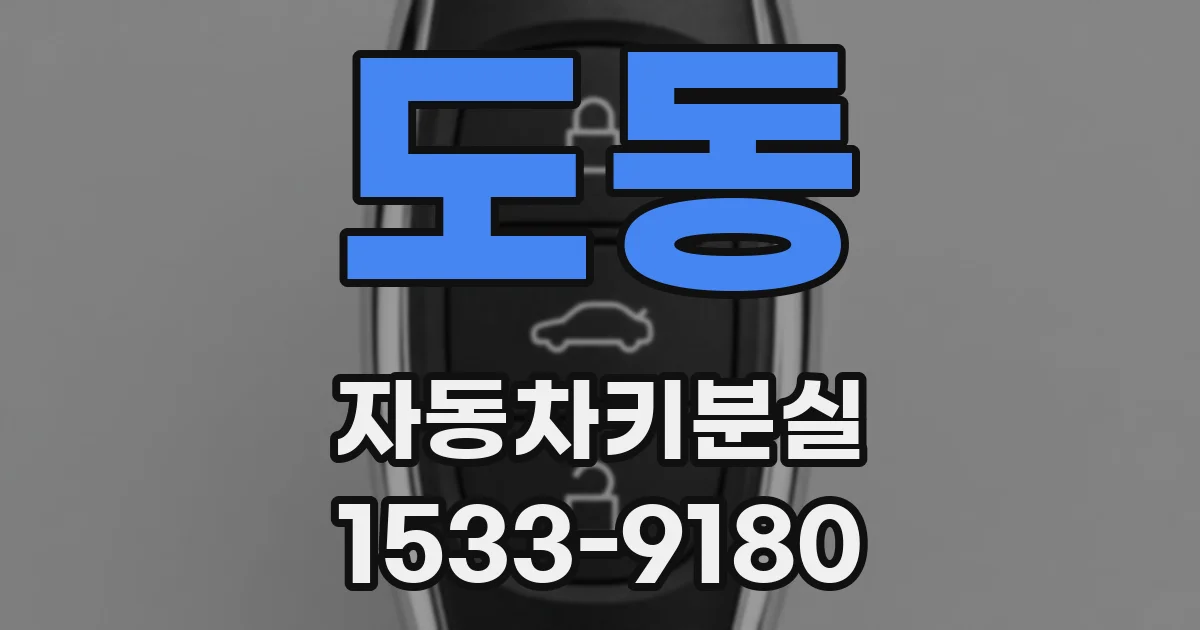 도동 자동차키분실