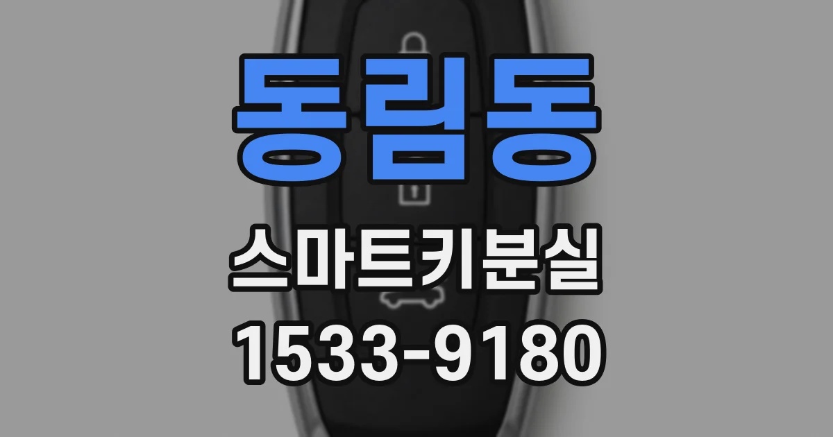 동림동 스마트키분실