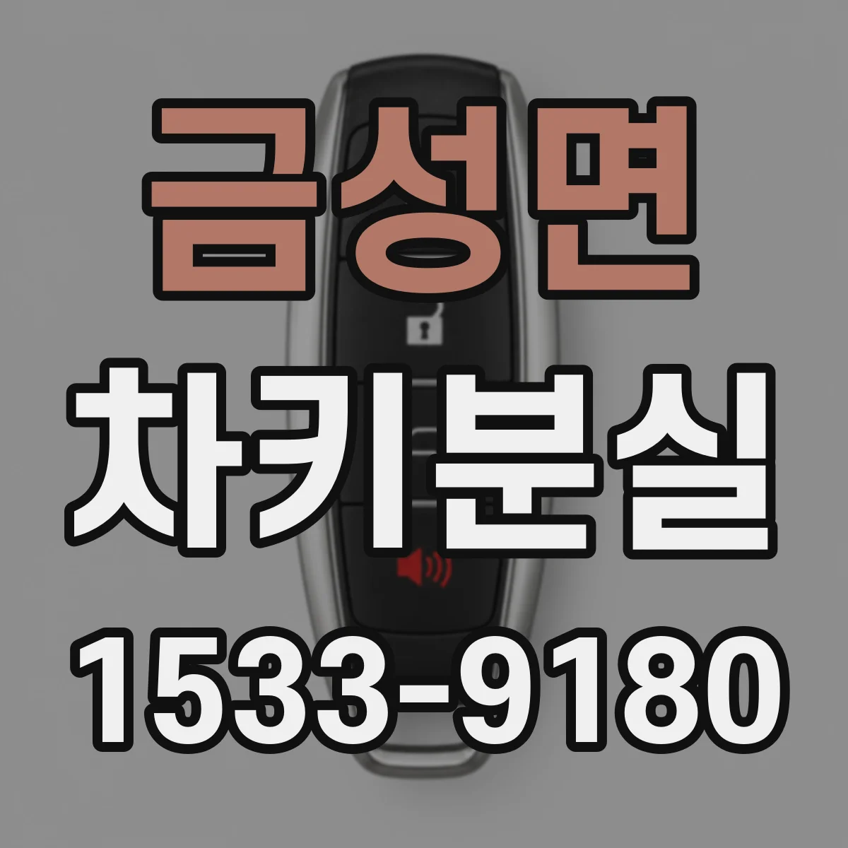 금성면 차키분실