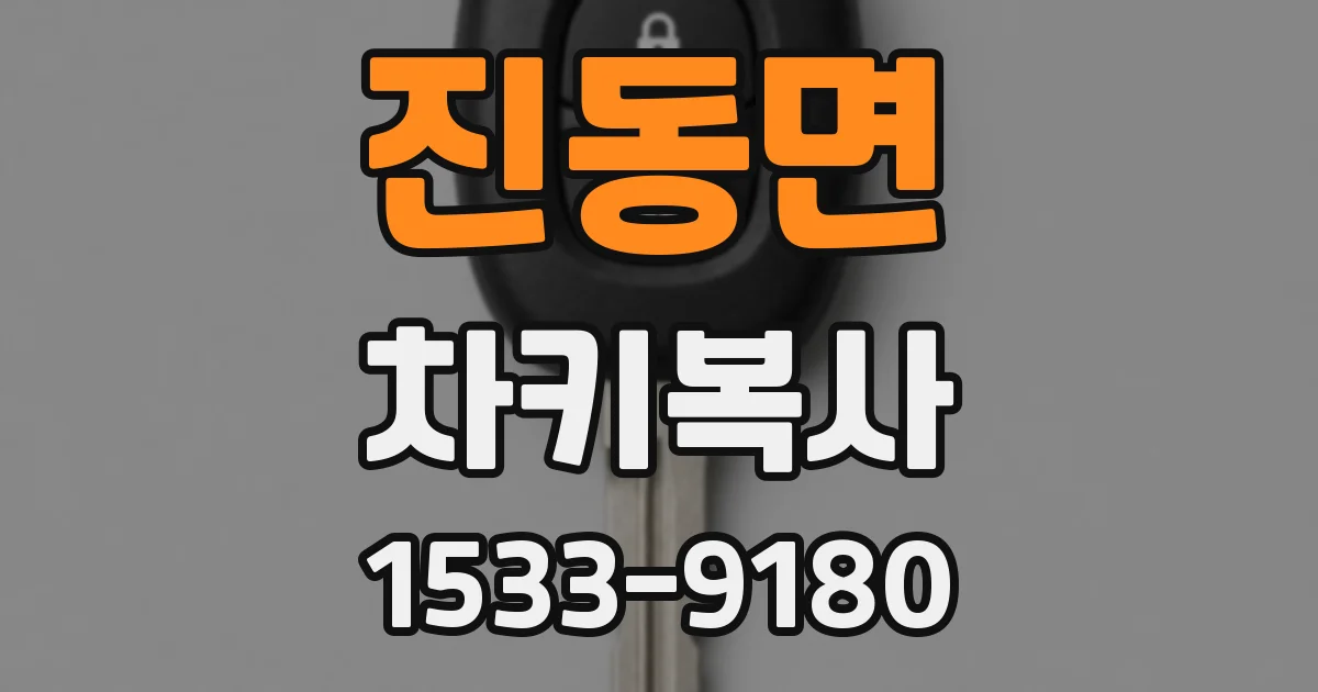 진동면 차키복사