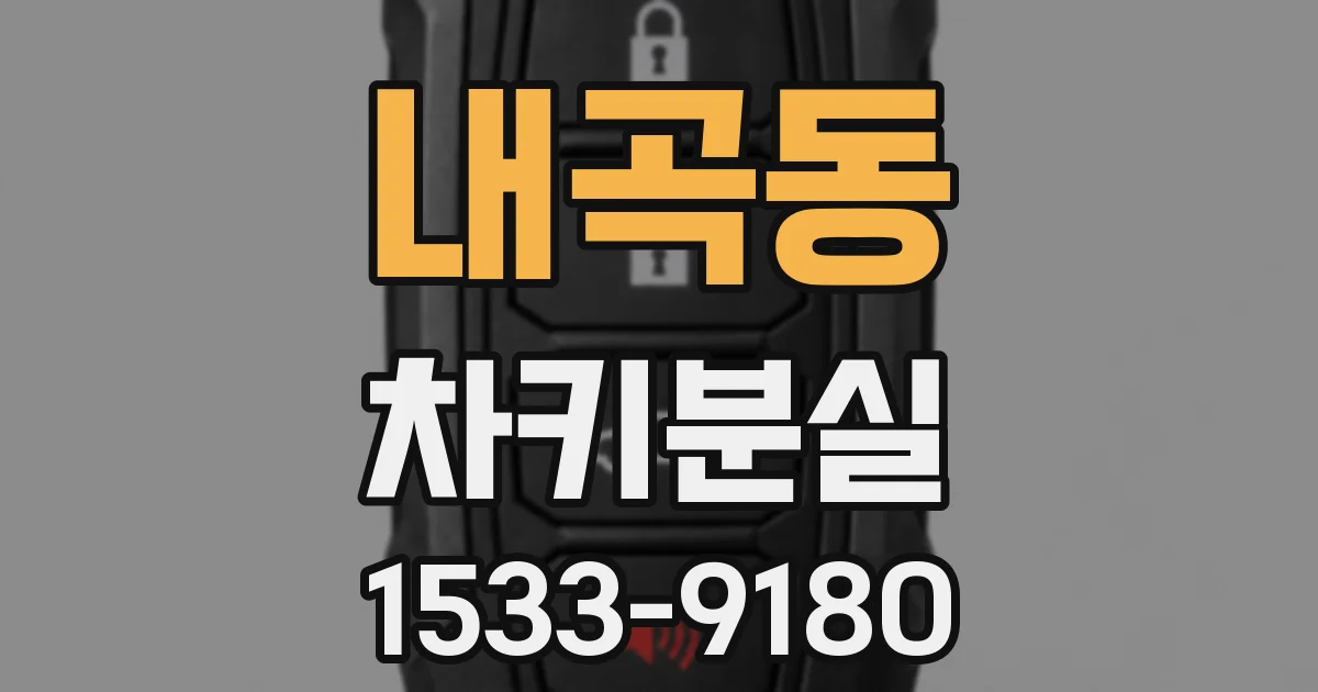 내곡동 차키분실