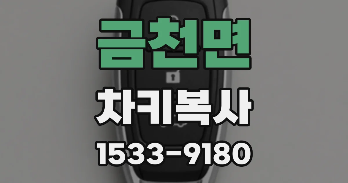금천면 차키복사
