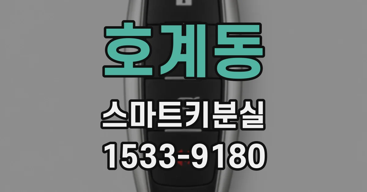 호계동 스마트키분실