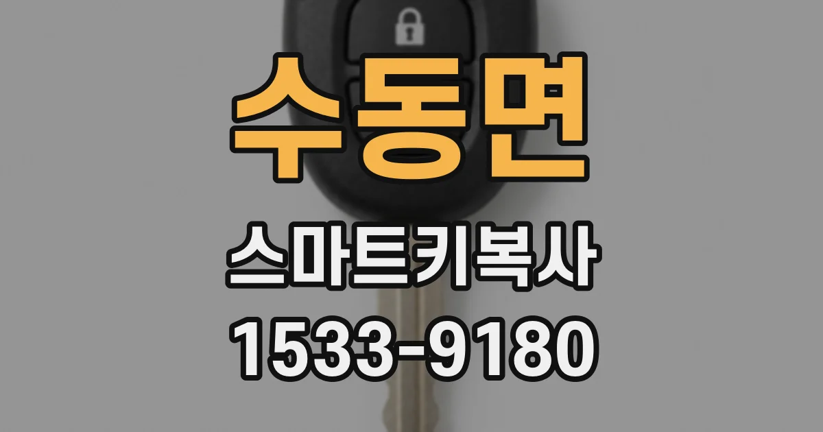 수동면 스마트키복사