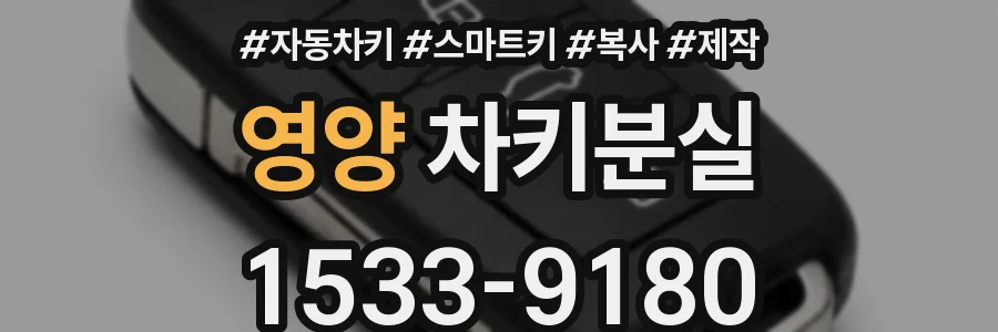 영양 차키분실