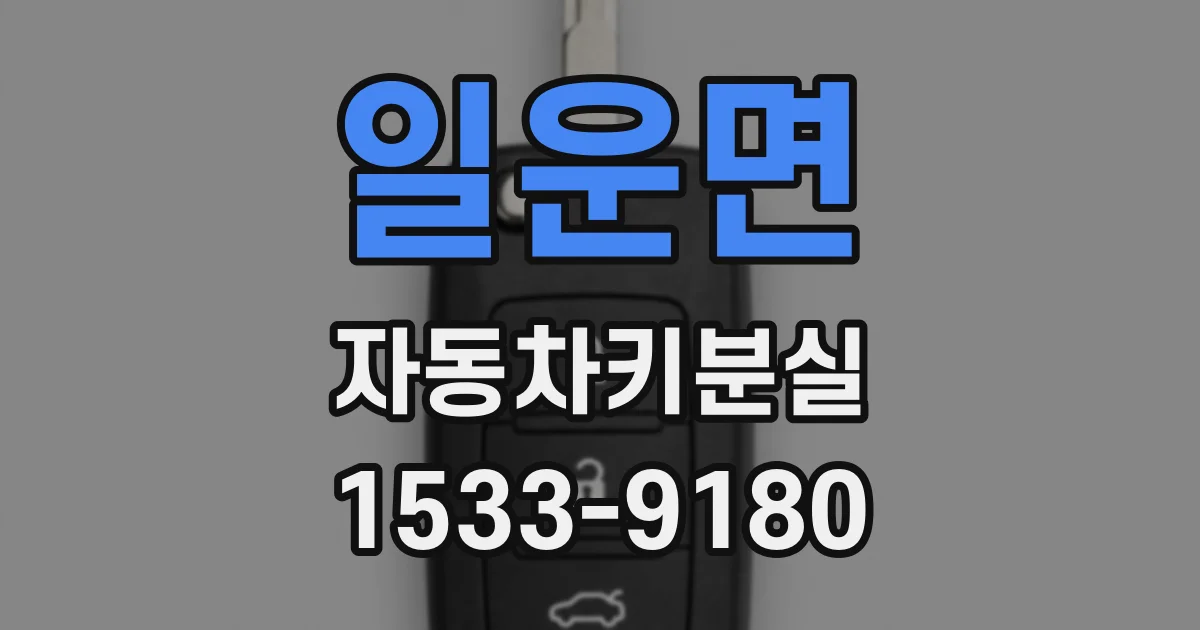 일운면 자동차키분실