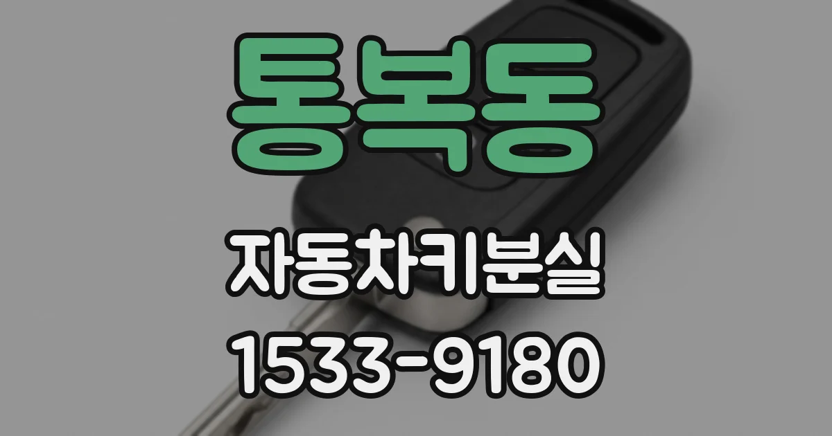통복동 자동차키분실