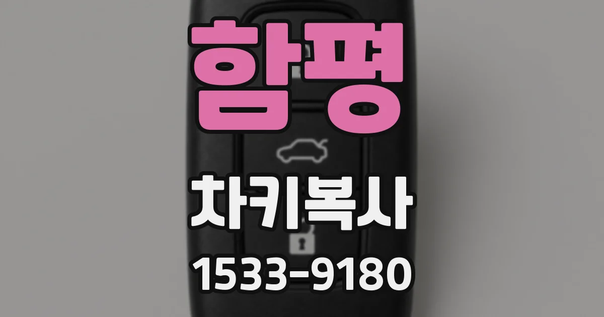 함평 차키복사