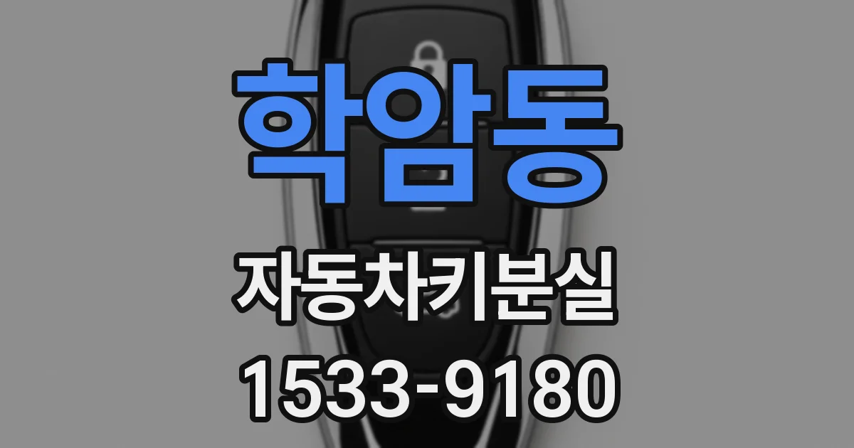 학암동 자동차키분실