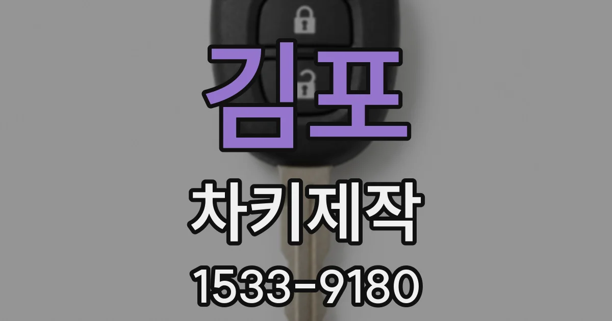 김포 차키제작