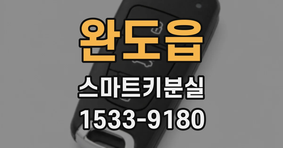 완도읍 스마트키분실