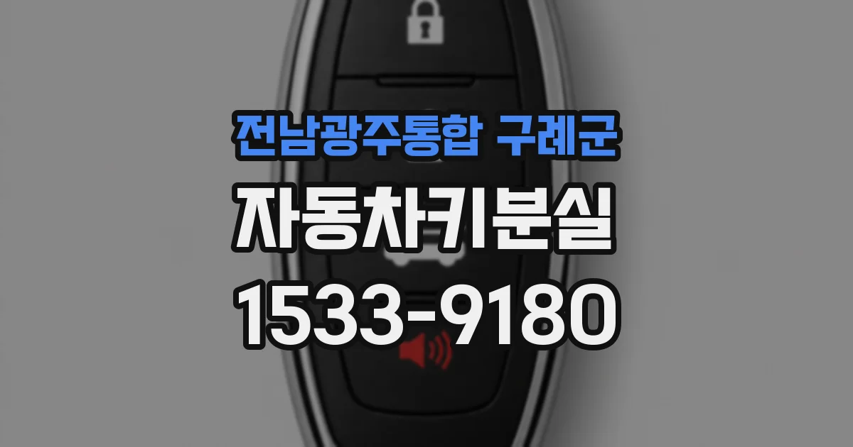 전남광주통합 구례군 자동차키분실