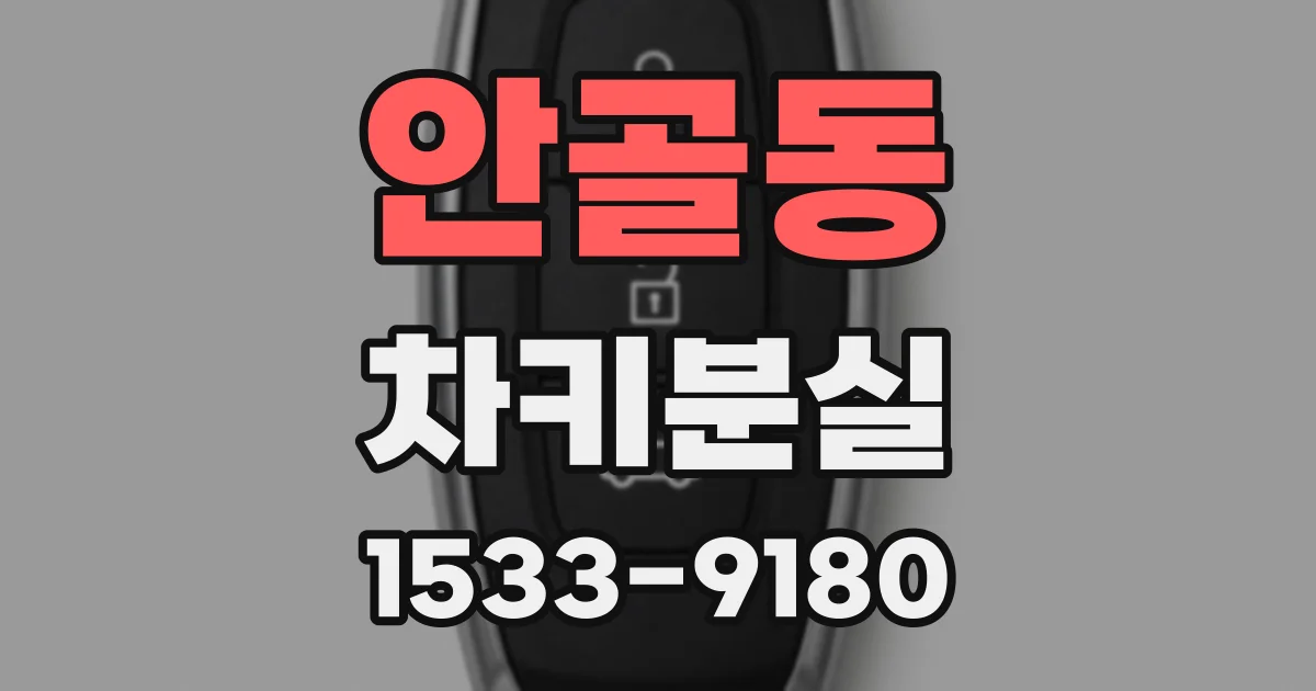 안골동 차키분실