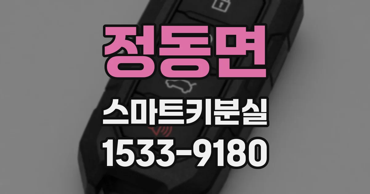 정동면 스마트키분실