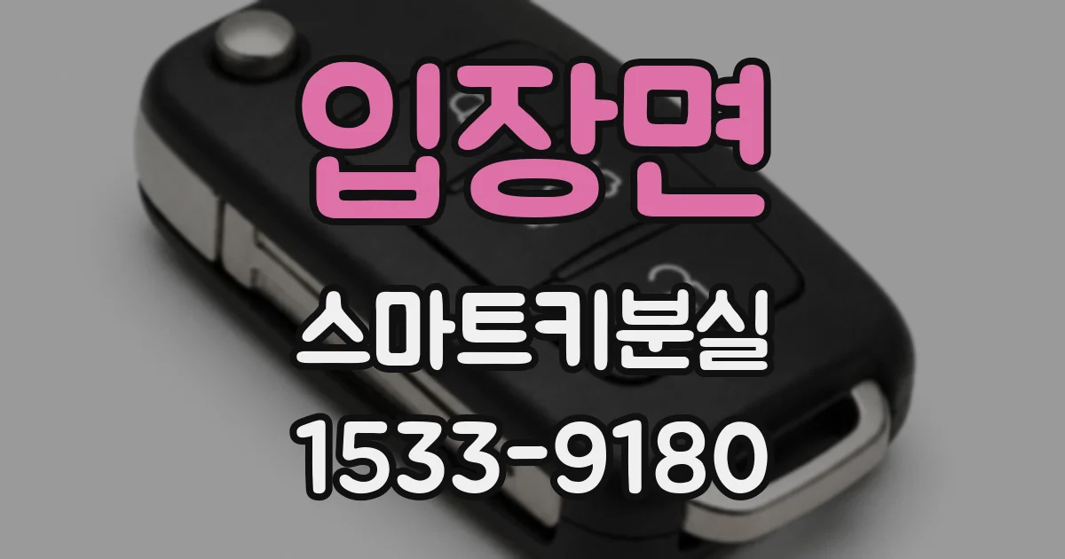 입장면 스마트키분실