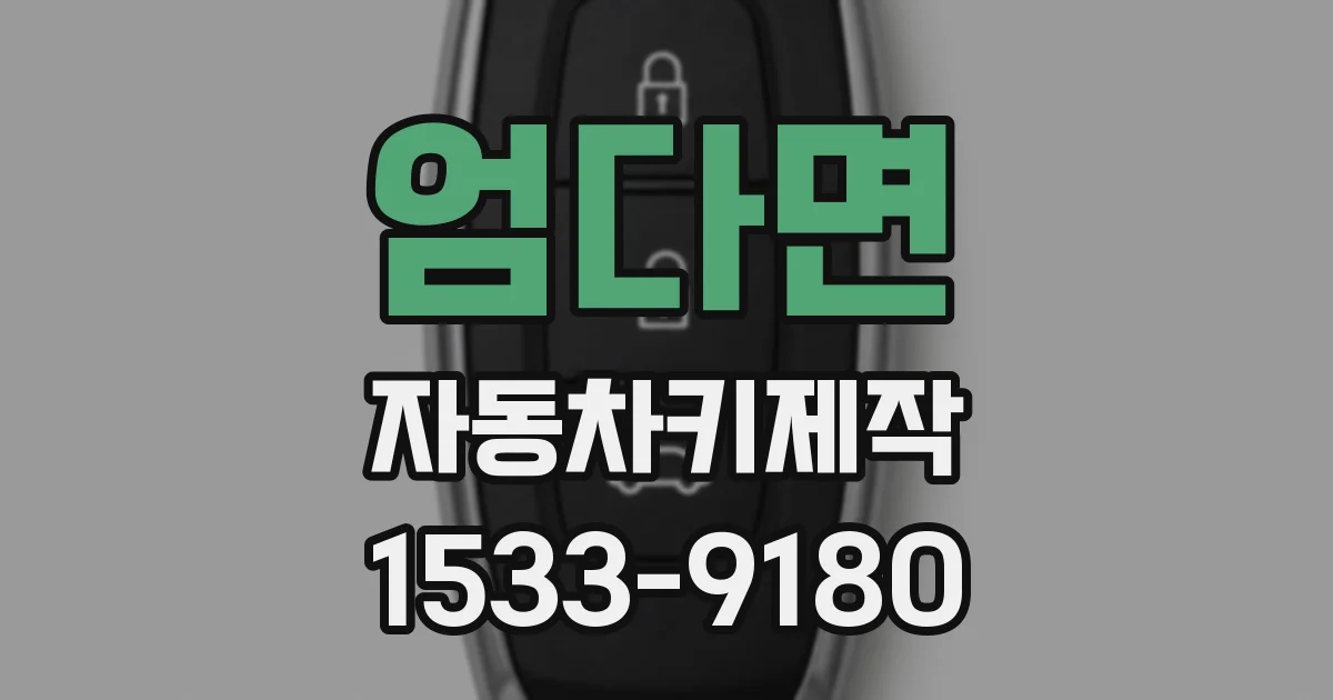 엄다면 자동차키제작