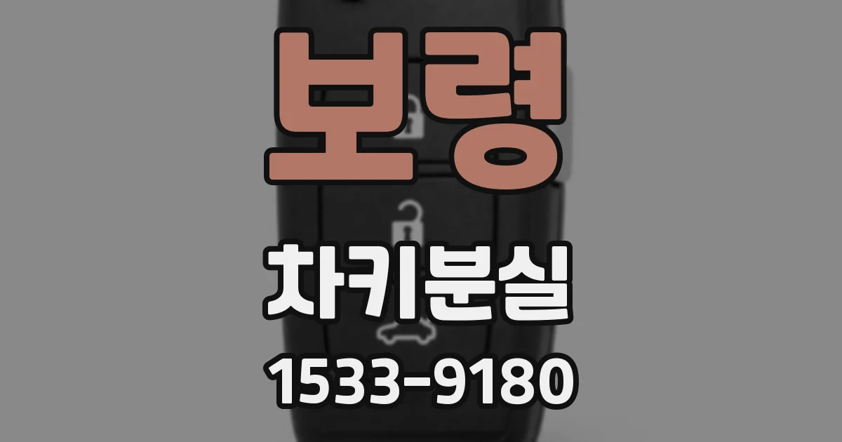 보령 차키분실
