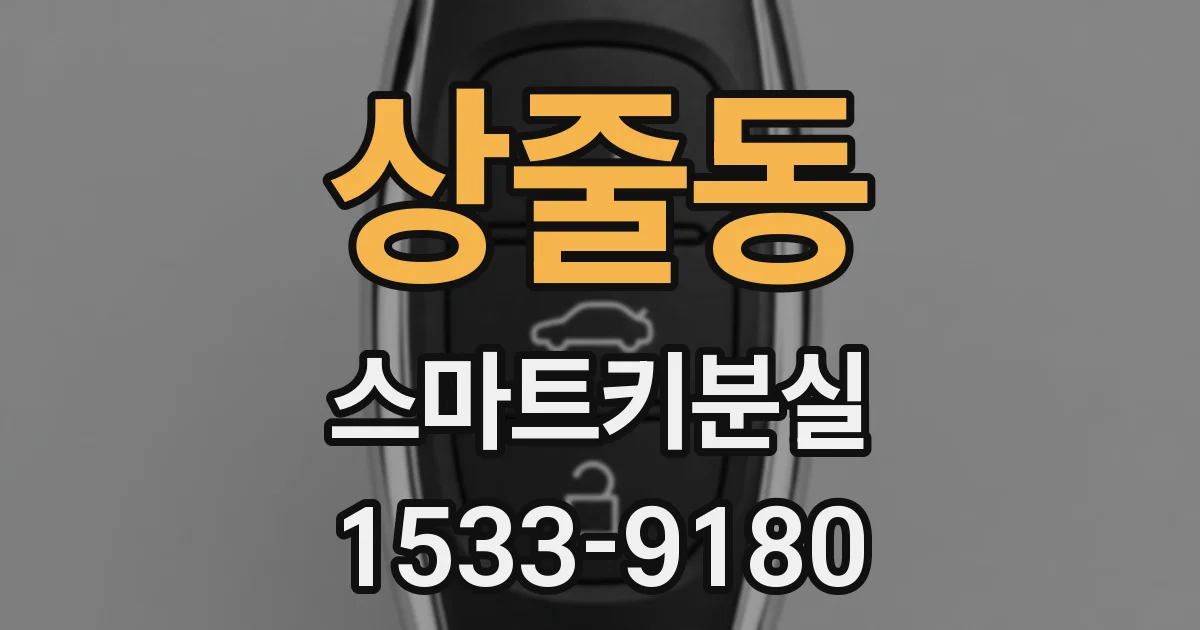 상줄동 스마트키분실