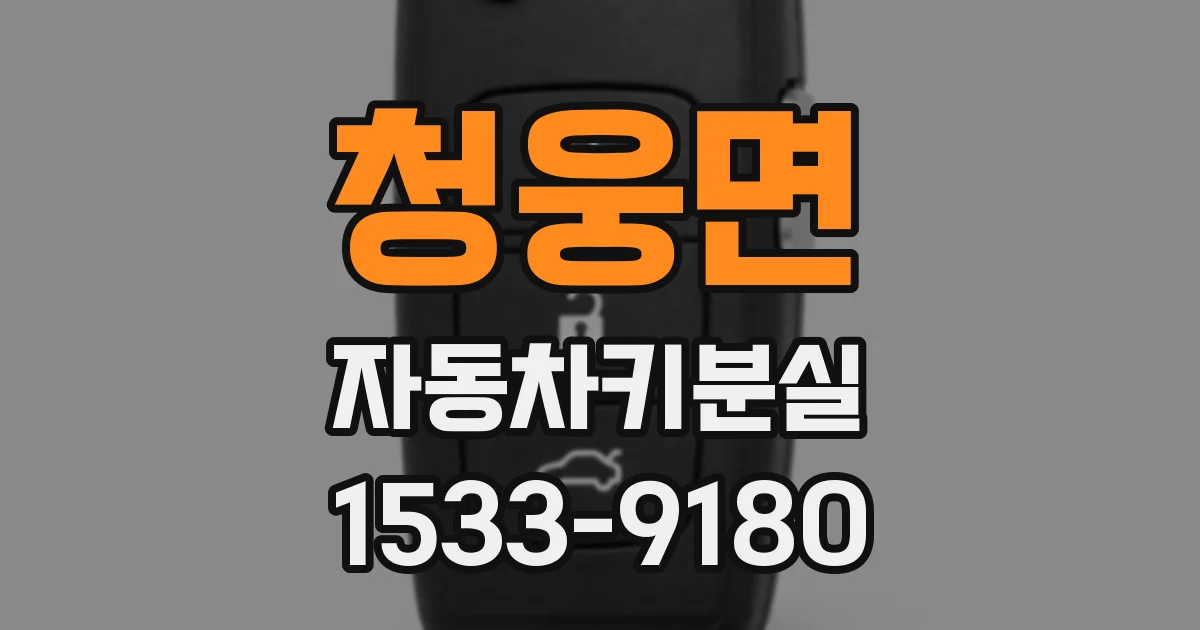 청웅면 자동차키분실