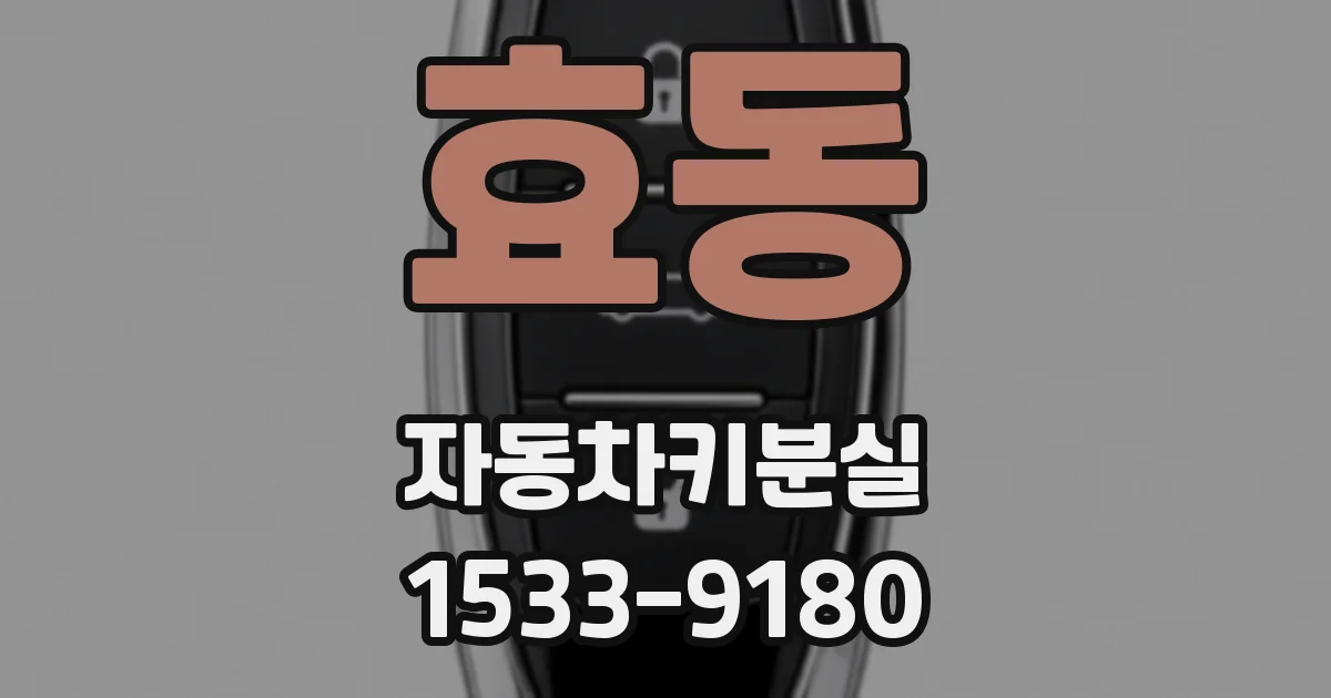 효동 자동차키분실