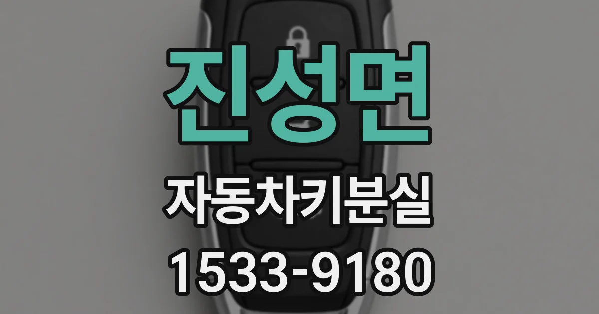 진성면 자동차키분실