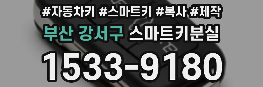 부산 강서구 스마트키분실