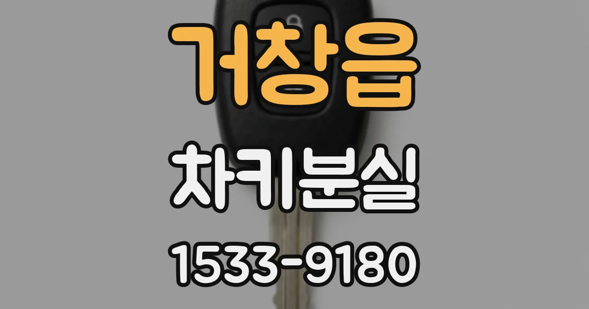 거창읍 차키분실
