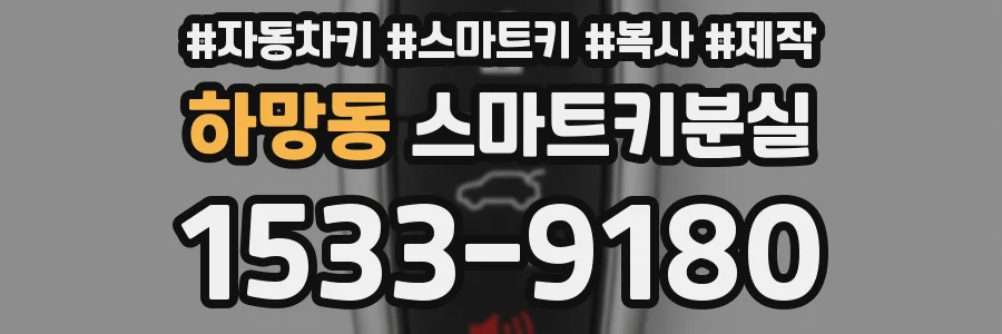 하망동 스마트키분실