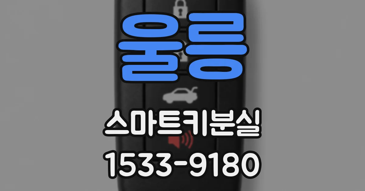 울릉 스마트키분실