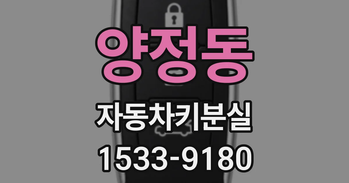 양정동 자동차키분실